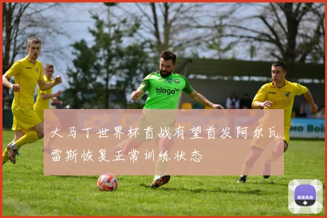大马丁世界杯首战有望首发阿尔瓦雷斯恢复正常训练状态