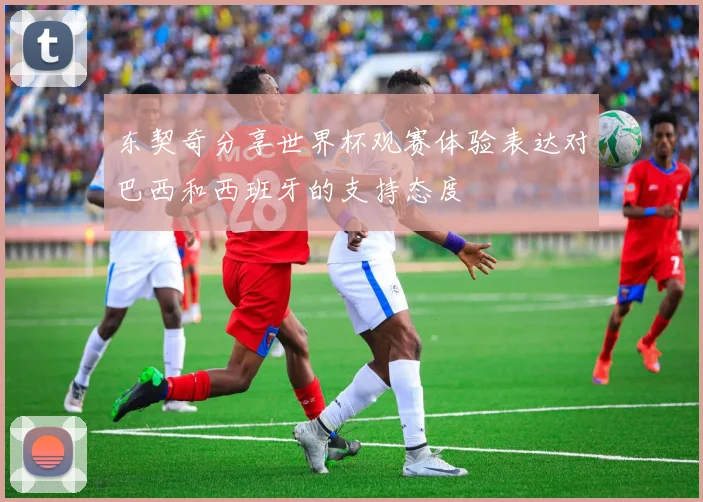 东契奇分享世界杯观赛体验表达对巴西和西班牙的支持态度