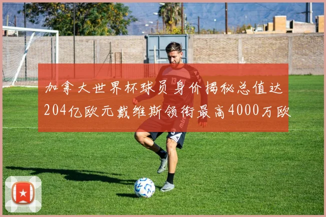 加拿大世界杯球员身价揭秘总值达204亿欧元戴维斯领衔最高4000万欧